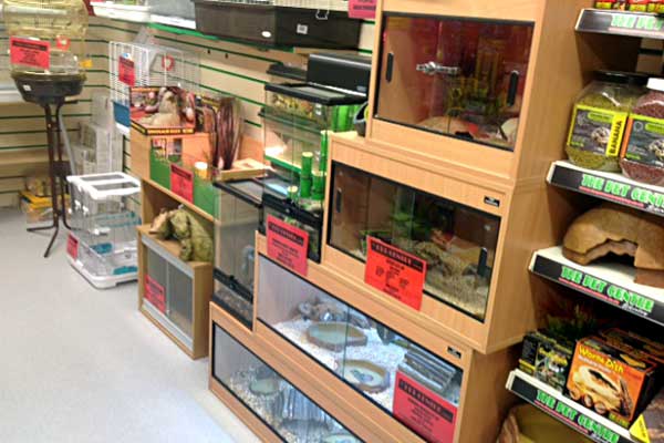 Reptile shop hot sale