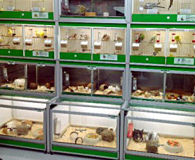 The Pet Centre